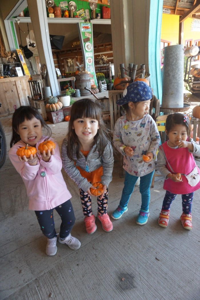 Yesterland farm_181026_0027